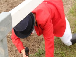 img_9519_web